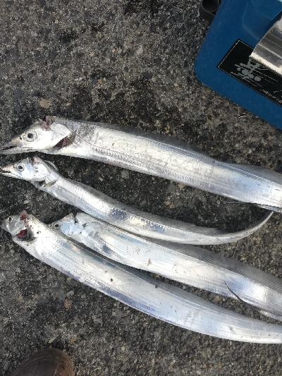 セットアッパー