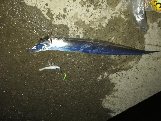 ２度目の釣り納め