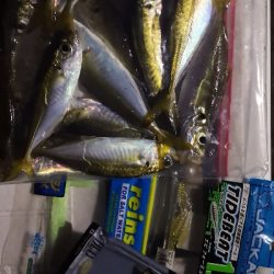 アジング練習 71