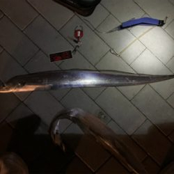 久しぶりに爆釣