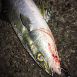 いつもと違う場所で