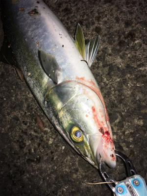 いつもと違う場所で