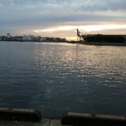 アタリは多いけど…