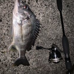 夜から朝まで、、、