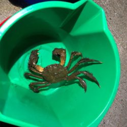 今週も来ました❗️