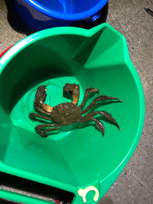 今週も来ました❗️