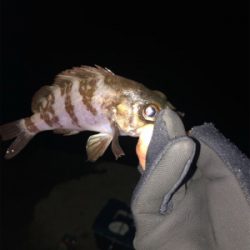 ライトゲームに移行です