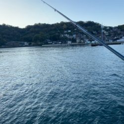 親子で紀州釣り