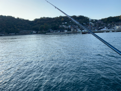 親子で紀州釣り