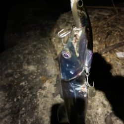 朝タチ、高活性！