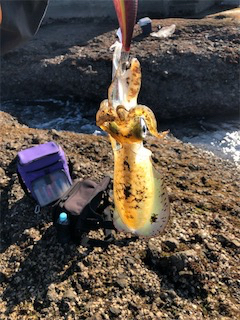 あたりはあれど。。。イカとの頭脳戦