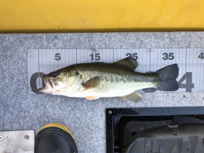 昼からボート釣行！