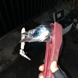 初場所とホームで1本ずつ