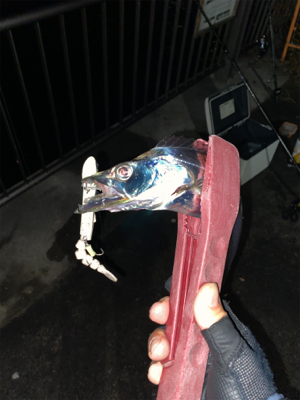 初場所とホームで1本ずつ