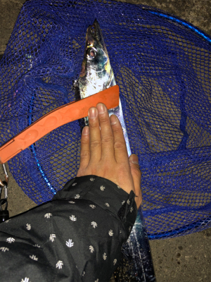 南港エエ感じ〜♫