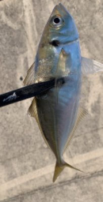 デイでボコボコ