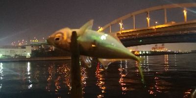 アジング練習 75