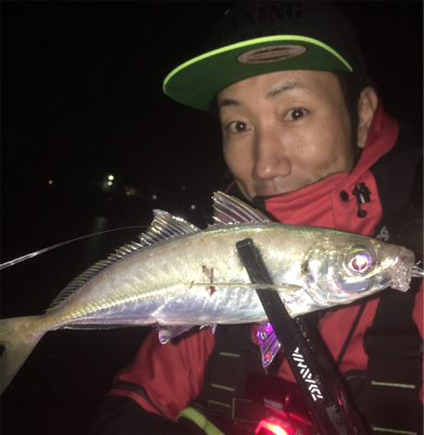 明石アジング☆回遊あるぞ！GUNNING-…