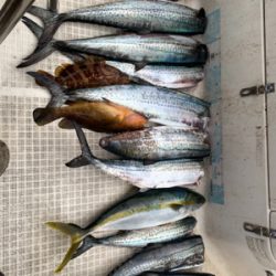 今年最後のマイボート釣行