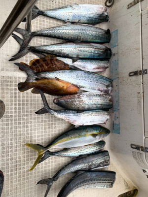 今年最後のマイボート釣行