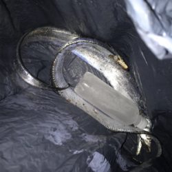 タチウオまだ居た！！