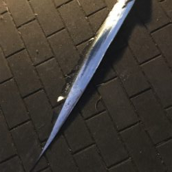 再び冷え込み、、、