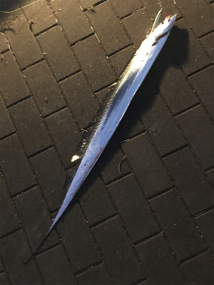 再び冷え込み、、、