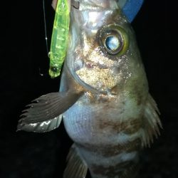 ナイトメバリング