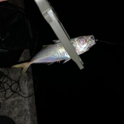 就業後アジング