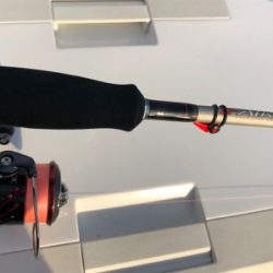 沖堤は今パラダイスかも⁉️