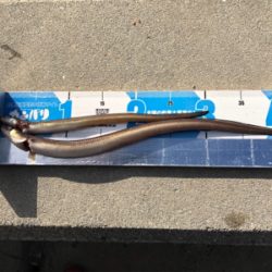 今年最後の投げ釣りでしたが❓