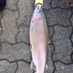 短時間で楽しめる岸和田フィシングパーク