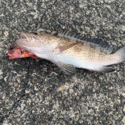 なかなか厳しい