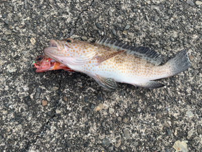 なかなか厳しい