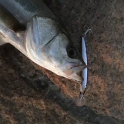 夕まづめにちょっと