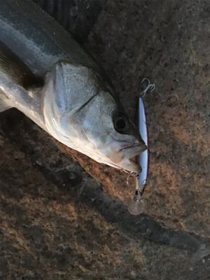 夕まづめにちょっと