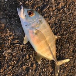 スロープでボイル！