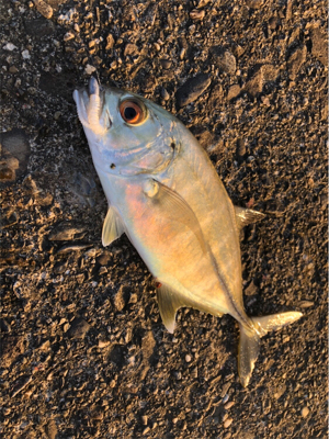 スロープでボイル！