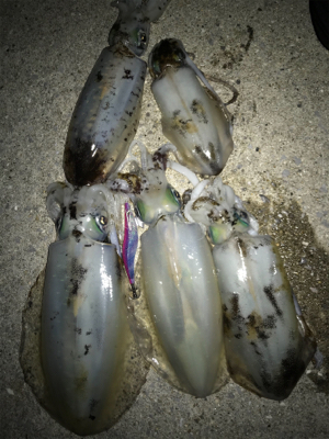 キロアップ？！