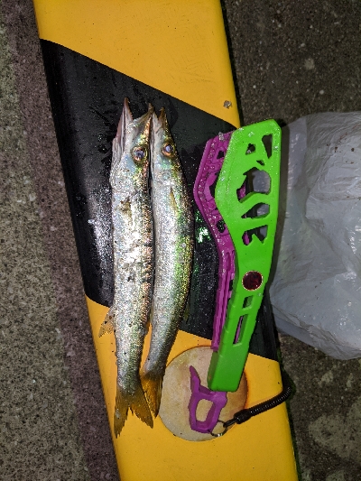 カマス からの タチング？