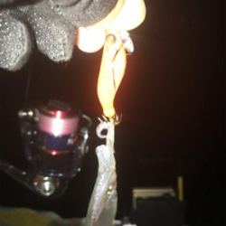 久しぶりにヒイカ釣れたσ(^_^;)