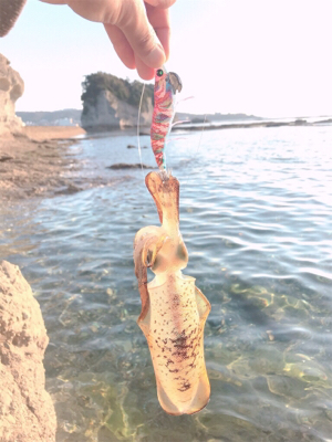 リリースサイズばっかり(･･;)