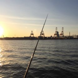 ライトタックルでたちうお