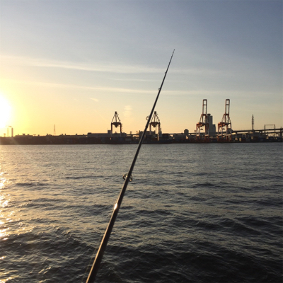 ライトタックルでたちうお