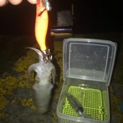 雨の中渋いヒイカ釣り(><)