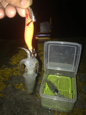 雨の中渋いヒイカ釣り(><)
