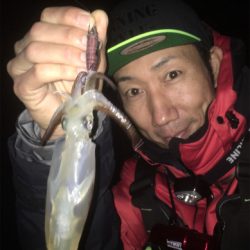 雨上がりのヒイカ爆釣☆GUNNING-STYLE