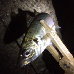 久しぶりの短時間決戦