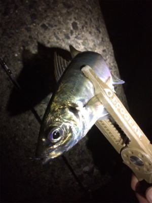 久しぶりの短時間決戦