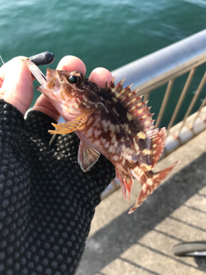 デイでライトゲーム